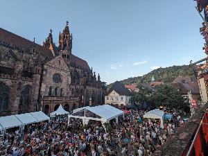 Erfolgreiches 50. Freiburger Weinfest